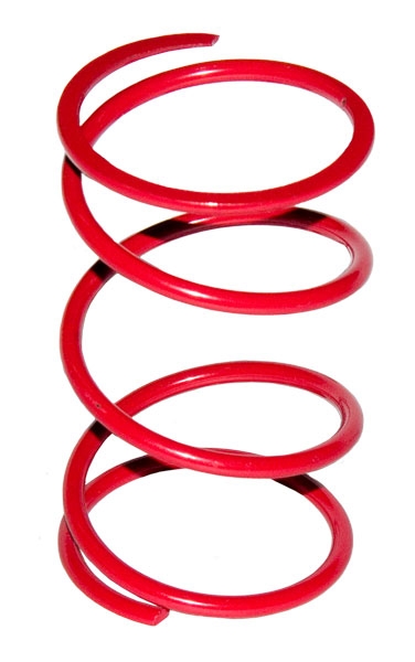 -Overstock- RZR Driven Springs