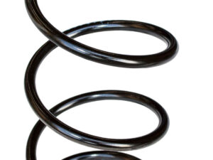 TRA Primary Spring