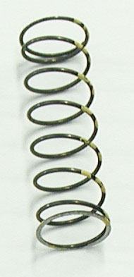Exhaust Valve Springs - Polaris